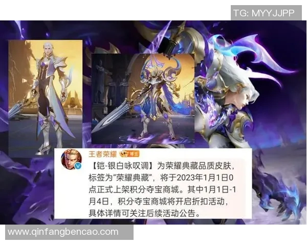 王者荣耀足球明星皮肤全景展示与详细解析图集